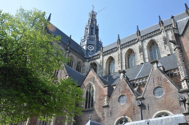 haarlem6