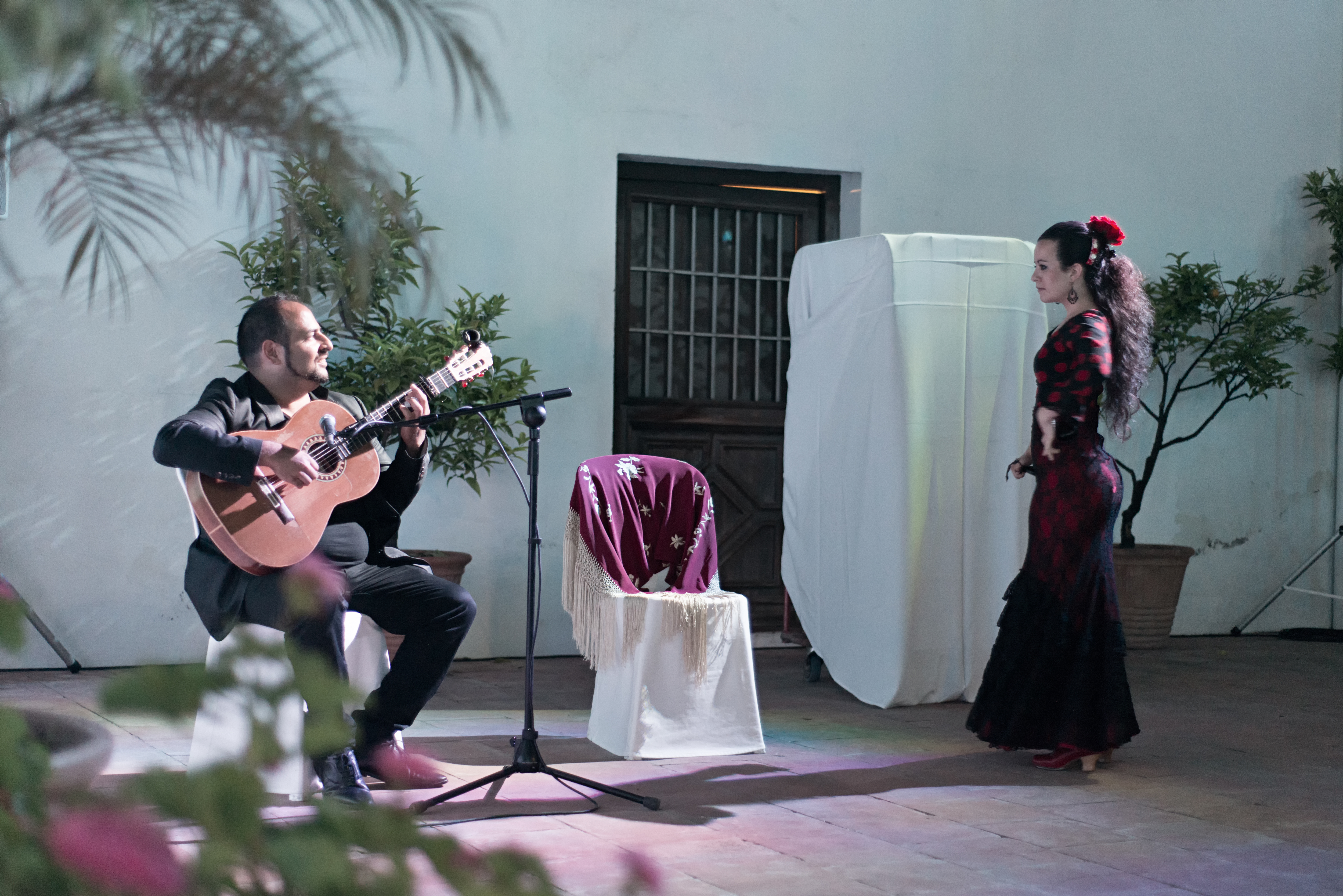 dsc_6474